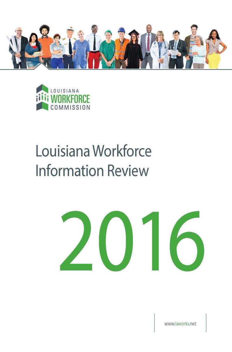 Workforce Information Review 2013